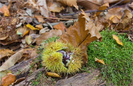 【Win11/10兼容】稳定运行的平台在线ddos压力测试